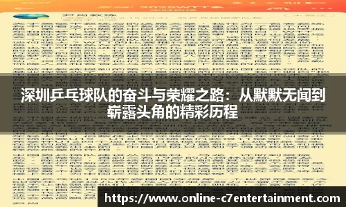 深圳乒乓球队的奋斗与荣耀之路:从默默无闻到崭露头角的精彩历程